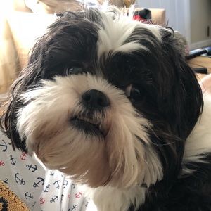 Meet your Posher, Robert